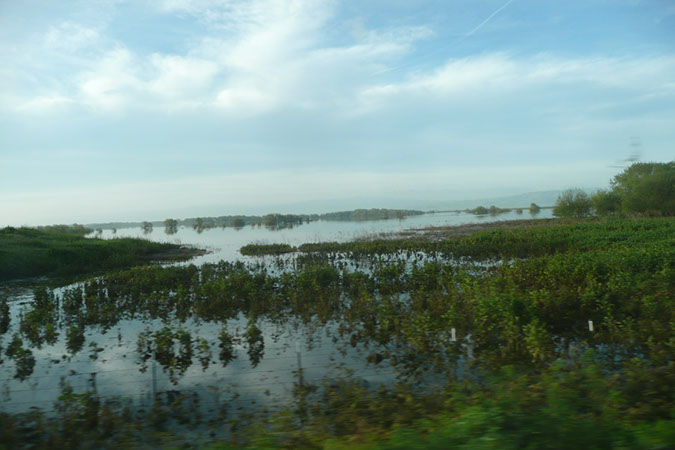 P1270715